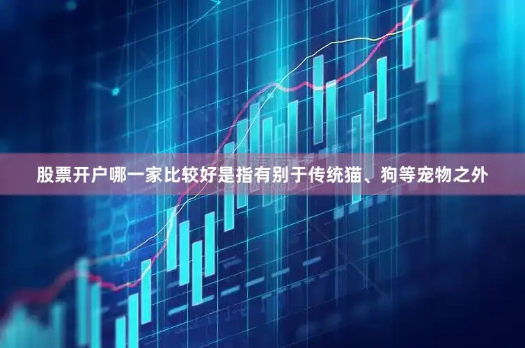 股票开户哪一家比较好是指有别于传统猫、狗等宠物之外